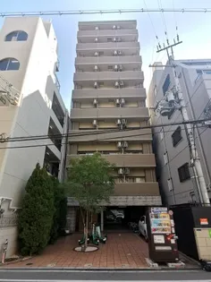 サルボサーラの画像