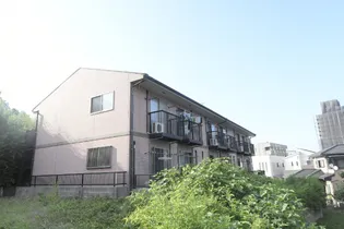 アムールREVEの画像