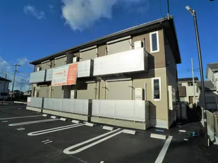 グランドールSの画像