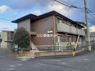 ウッズ,ヒルの画像