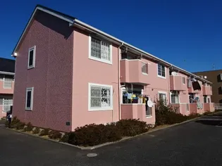 サン フラワーIIIの画像