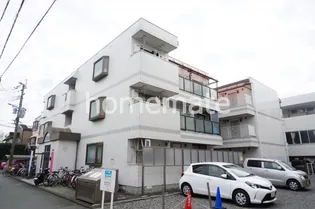 メイン渡鹿の画像