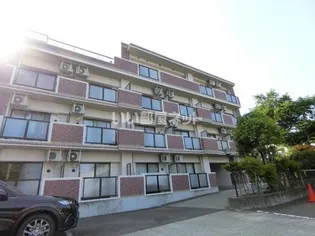 宮城県仙台市若林区南鍛冶町【マンション】の外観