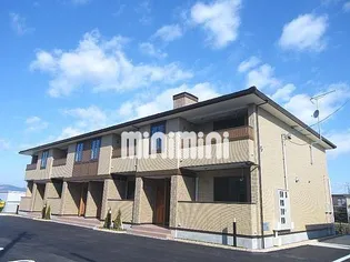 コートフリージアBの画像