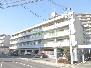 ノア本屋敷の画像