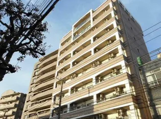 カンパニュラの画像