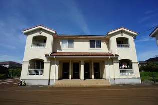 フローラルクーパーの画像