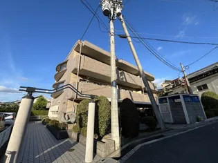 リビオ金剛の画像