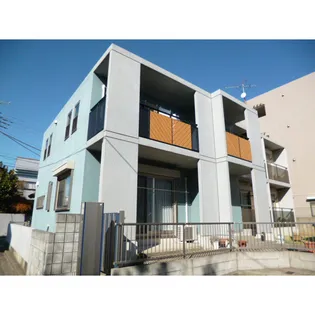 セル フェリスの画像