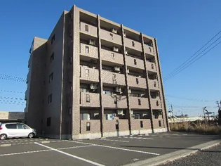 メゾン デュHMSTの画像