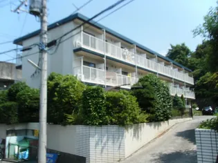 コンフィーコーポ【3階】の外観