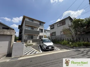 桜コリーナの画像