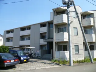 ロイヤルヒルズ富沢I【3階】の外観