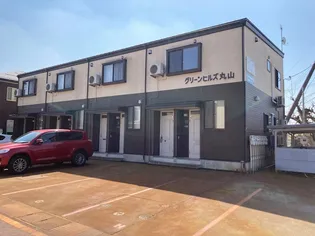 グリーンヒルズ丸山【2階】の外観