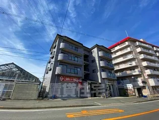 メイプル河正の画像