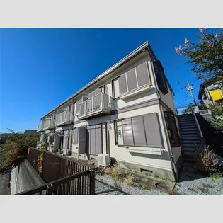 パレスイソマの画像