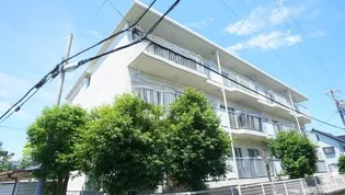 パレス セルシオIIの画像