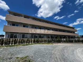 D ROOM姉体III Bの画像