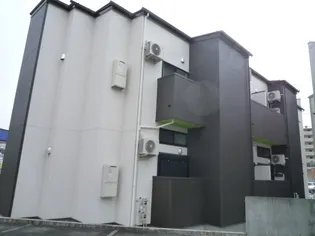 シエル荒巻の画像