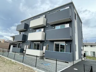 ゼルコヴァイーストIVの画像