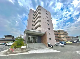 ホワイトライトの画像