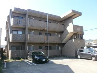 セドール豊永の画像