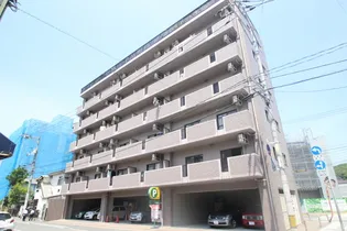 ラナーシタ光の画像