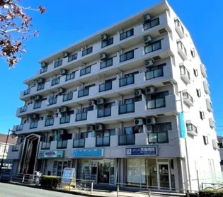 パピヨン大南の画像