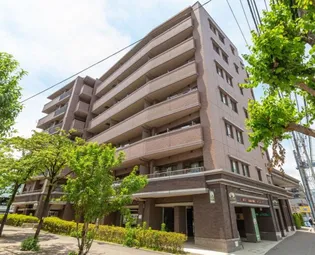 ナイスエスアリーナ横濱星川【5階】の外観