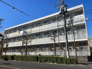 レオパレススペチアーレ ミユの画像