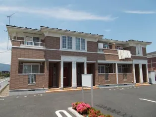 プリムローズ Bの画像