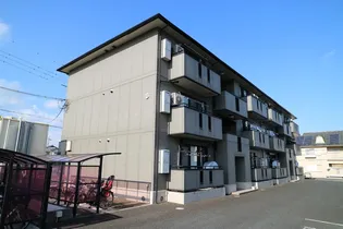 THICK FORESTの画像