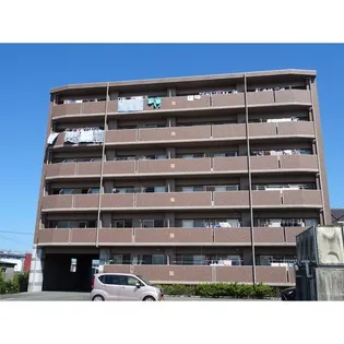 スペランザの画像