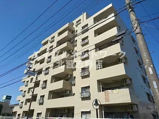 グランドセラーコートの画像