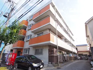 アンティーラコートの画像