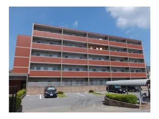 シルクロードの画像