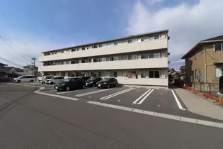 ソフィヤ コンフォールの画像