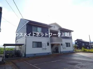 アペックスの画像