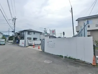 ルピナスIIIの画像