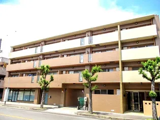 シェリール木村3の画像