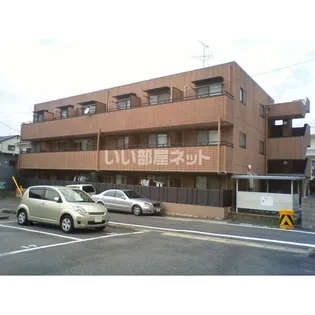 オータム ライト5の画像