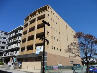 ベガ ポラールの画像