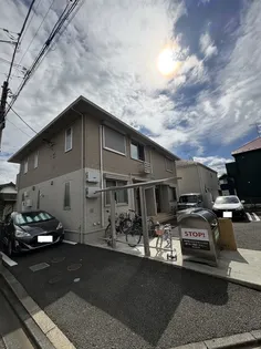 ライラックの画像