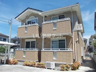 マルベリーBの画像