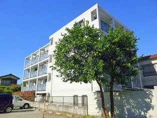 フォルテシモの画像