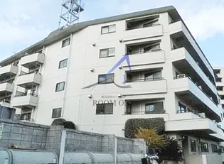 山王ハマセイホウの画像