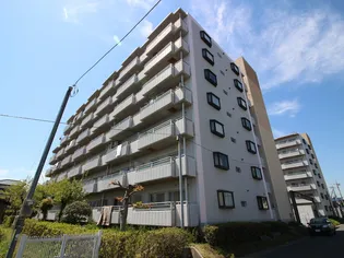 センターヒルズ21弐番館の画像