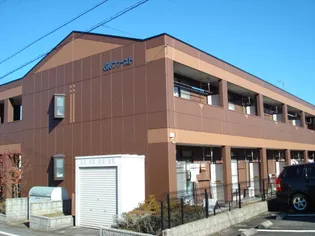 SKファーストの画像