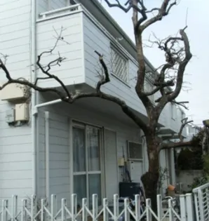 ホワイトハイツ渡辺【2階】の外観