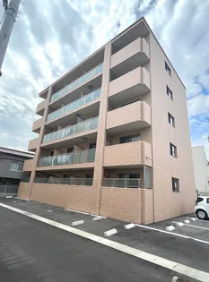 パディ南方の画像